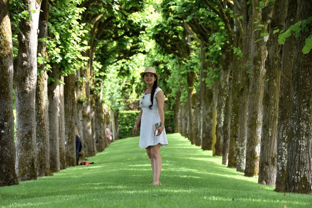 Jardins de Villandry, France (27-05-2017)